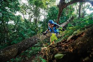 BIB: 
                            <button type="button" onclick="openModal(22778198)" class="btn btn-primary btn-sm float-right btn-popup" data-toggle="modal" data-target=".modal-high-quality">
                        <i class="fas fa-shopping-cart"></i> Add to Cart
                    </button>
                                            <button type="button" onclick="isThisMe(22778198, true)" class="btn btn-success btn-sm float-right btn-popup btn-isme hidden" data-toggle="tooltip" data-placement="bottom" title="นี่คือรูปของคุณใช่ไหม คลิกที่นี่เพื่อเอาเข้าอัลบั้ม">
                        <i class="fas fa-plus"></i> Add to album
                    </button>
                    <button type="button" onclick="isThisMe(22778198, false)" class="btn btn-warning btn-sm float-right btn-popup btn-isnotme hidden">
                        <i class="fas fa-ban"></i> Remove from album
                    </button>