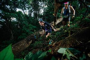 BIB: 
                            <button type="button" onclick="openModal(22775605)" class="btn btn-primary btn-sm float-right btn-popup" data-toggle="modal" data-target=".modal-high-quality">
                        <i class="fas fa-shopping-cart"></i> Add to Cart
                    </button>
                                            <button type="button" onclick="isThisMe(22775605, true)" class="btn btn-success btn-sm float-right btn-popup btn-isme hidden" data-toggle="tooltip" data-placement="bottom" title="นี่คือรูปของคุณใช่ไหม คลิกที่นี่เพื่อเอาเข้าอัลบั้ม">
                        <i class="fas fa-plus"></i> Add to album
                    </button>
                    <button type="button" onclick="isThisMe(22775605, false)" class="btn btn-warning btn-sm float-right btn-popup btn-isnotme hidden">
                        <i class="fas fa-ban"></i> Remove from album
                    </button>