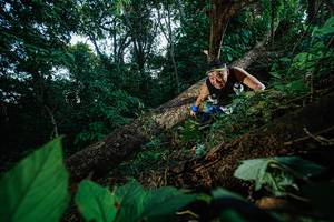 BIB: 
                            <button type="button" onclick="openModal(22777045)" class="btn btn-primary btn-sm float-right btn-popup" data-toggle="modal" data-target=".modal-high-quality">
                        <i class="fas fa-shopping-cart"></i> Add to Cart
                    </button>
                                            <button type="button" onclick="isThisMe(22777045, true)" class="btn btn-success btn-sm float-right btn-popup btn-isme hidden" data-toggle="tooltip" data-placement="bottom" title="นี่คือรูปของคุณใช่ไหม คลิกที่นี่เพื่อเอาเข้าอัลบั้ม">
                        <i class="fas fa-plus"></i> Add to album
                    </button>
                    <button type="button" onclick="isThisMe(22777045, false)" class="btn btn-warning btn-sm float-right btn-popup btn-isnotme hidden">
                        <i class="fas fa-ban"></i> Remove from album
                    </button>