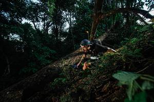 BIB: 
                            <button type="button" onclick="openModal(22774920)" class="btn btn-primary btn-sm float-right btn-popup" data-toggle="modal" data-target=".modal-high-quality">
                        <i class="fas fa-shopping-cart"></i> Add to Cart
                    </button>
                                            <button type="button" onclick="isThisMe(22774920, true)" class="btn btn-success btn-sm float-right btn-popup btn-isme hidden" data-toggle="tooltip" data-placement="bottom" title="นี่คือรูปของคุณใช่ไหม คลิกที่นี่เพื่อเอาเข้าอัลบั้ม">
                        <i class="fas fa-plus"></i> Add to album
                    </button>
                    <button type="button" onclick="isThisMe(22774920, false)" class="btn btn-warning btn-sm float-right btn-popup btn-isnotme hidden">
                        <i class="fas fa-ban"></i> Remove from album
                    </button>