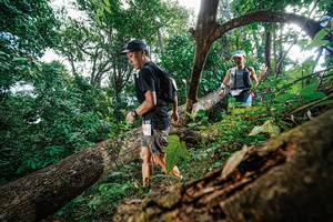 BIB: 
                            <button type="button" onclick="openModal(22778261)" class="btn btn-primary btn-sm float-right btn-popup" data-toggle="modal" data-target=".modal-high-quality">
                        <i class="fas fa-shopping-cart"></i> Add to Cart
                    </button>
                                            <button type="button" onclick="isThisMe(22778261, true)" class="btn btn-success btn-sm float-right btn-popup btn-isme hidden" data-toggle="tooltip" data-placement="bottom" title="นี่คือรูปของคุณใช่ไหม คลิกที่นี่เพื่อเอาเข้าอัลบั้ม">
                        <i class="fas fa-plus"></i> Add to album
                    </button>
                    <button type="button" onclick="isThisMe(22778261, false)" class="btn btn-warning btn-sm float-right btn-popup btn-isnotme hidden">
                        <i class="fas fa-ban"></i> Remove from album
                    </button>