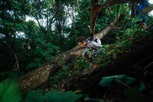 BIB: 
                            <button type="button" onclick="openModal(22777105)" class="btn btn-primary btn-sm float-right btn-popup" data-toggle="modal" data-target=".modal-high-quality">
                        <i class="fas fa-shopping-cart"></i> Add to Cart
                    </button>
                                            <button type="button" onclick="isThisMe(22777105, true)" class="btn btn-success btn-sm float-right btn-popup btn-isme hidden" data-toggle="tooltip" data-placement="bottom" title="นี่คือรูปของคุณใช่ไหม คลิกที่นี่เพื่อเอาเข้าอัลบั้ม">
                        <i class="fas fa-plus"></i> Add to album
                    </button>
                    <button type="button" onclick="isThisMe(22777105, false)" class="btn btn-warning btn-sm float-right btn-popup btn-isnotme hidden">
                        <i class="fas fa-ban"></i> Remove from album
                    </button>