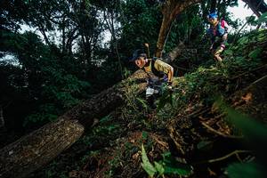 BIB: 
                            <button type="button" onclick="openModal(22774845)" class="btn btn-primary btn-sm float-right btn-popup" data-toggle="modal" data-target=".modal-high-quality">
                        <i class="fas fa-shopping-cart"></i> Add to Cart
                    </button>
                                            <button type="button" onclick="isThisMe(22774845, true)" class="btn btn-success btn-sm float-right btn-popup btn-isme hidden" data-toggle="tooltip" data-placement="bottom" title="นี่คือรูปของคุณใช่ไหม คลิกที่นี่เพื่อเอาเข้าอัลบั้ม">
                        <i class="fas fa-plus"></i> Add to album
                    </button>
                    <button type="button" onclick="isThisMe(22774845, false)" class="btn btn-warning btn-sm float-right btn-popup btn-isnotme hidden">
                        <i class="fas fa-ban"></i> Remove from album
                    </button>