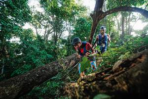 BIB: 
                            <button type="button" onclick="openModal(22777818)" class="btn btn-primary btn-sm float-right btn-popup" data-toggle="modal" data-target=".modal-high-quality">
                        <i class="fas fa-shopping-cart"></i> Add to Cart
                    </button>
                                            <button type="button" onclick="isThisMe(22777818, true)" class="btn btn-success btn-sm float-right btn-popup btn-isme hidden" data-toggle="tooltip" data-placement="bottom" title="นี่คือรูปของคุณใช่ไหม คลิกที่นี่เพื่อเอาเข้าอัลบั้ม">
                        <i class="fas fa-plus"></i> Add to album
                    </button>
                    <button type="button" onclick="isThisMe(22777818, false)" class="btn btn-warning btn-sm float-right btn-popup btn-isnotme hidden">
                        <i class="fas fa-ban"></i> Remove from album
                    </button>