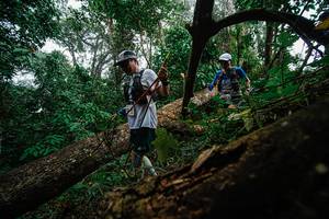 BIB: 
                            <button type="button" onclick="openModal(22779175)" class="btn btn-primary btn-sm float-right btn-popup" data-toggle="modal" data-target=".modal-high-quality">
                        <i class="fas fa-shopping-cart"></i> Add to Cart
                    </button>
                                            <button type="button" onclick="isThisMe(22779175, true)" class="btn btn-success btn-sm float-right btn-popup btn-isme hidden" data-toggle="tooltip" data-placement="bottom" title="นี่คือรูปของคุณใช่ไหม คลิกที่นี่เพื่อเอาเข้าอัลบั้ม">
                        <i class="fas fa-plus"></i> Add to album
                    </button>
                    <button type="button" onclick="isThisMe(22779175, false)" class="btn btn-warning btn-sm float-right btn-popup btn-isnotme hidden">
                        <i class="fas fa-ban"></i> Remove from album
                    </button>