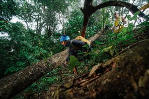 BIB: 
                            <button type="button" onclick="openModal(22778686)" class="btn btn-primary btn-sm float-right btn-popup" data-toggle="modal" data-target=".modal-high-quality">
                        <i class="fas fa-shopping-cart"></i> Add to Cart
                    </button>
                                            <button type="button" onclick="isThisMe(22778686, true)" class="btn btn-success btn-sm float-right btn-popup btn-isme hidden" data-toggle="tooltip" data-placement="bottom" title="นี่คือรูปของคุณใช่ไหม คลิกที่นี่เพื่อเอาเข้าอัลบั้ม">
                        <i class="fas fa-plus"></i> Add to album
                    </button>
                    <button type="button" onclick="isThisMe(22778686, false)" class="btn btn-warning btn-sm float-right btn-popup btn-isnotme hidden">
                        <i class="fas fa-ban"></i> Remove from album
                    </button>