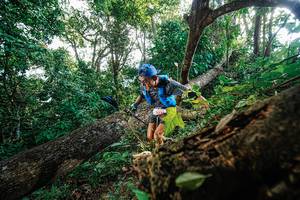 BIB: 
                            <button type="button" onclick="openModal(22778199)" class="btn btn-primary btn-sm float-right btn-popup" data-toggle="modal" data-target=".modal-high-quality">
                        <i class="fas fa-shopping-cart"></i> Add to Cart
                    </button>
                                            <button type="button" onclick="isThisMe(22778199, true)" class="btn btn-success btn-sm float-right btn-popup btn-isme hidden" data-toggle="tooltip" data-placement="bottom" title="นี่คือรูปของคุณใช่ไหม คลิกที่นี่เพื่อเอาเข้าอัลบั้ม">
                        <i class="fas fa-plus"></i> Add to album
                    </button>
                    <button type="button" onclick="isThisMe(22778199, false)" class="btn btn-warning btn-sm float-right btn-popup btn-isnotme hidden">
                        <i class="fas fa-ban"></i> Remove from album
                    </button>