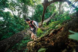 BIB: 
                            <button type="button" onclick="openModal(22778184)" class="btn btn-primary btn-sm float-right btn-popup" data-toggle="modal" data-target=".modal-high-quality">
                        <i class="fas fa-shopping-cart"></i> Add to Cart
                    </button>
                                            <button type="button" onclick="isThisMe(22778184, true)" class="btn btn-success btn-sm float-right btn-popup btn-isme hidden" data-toggle="tooltip" data-placement="bottom" title="นี่คือรูปของคุณใช่ไหม คลิกที่นี่เพื่อเอาเข้าอัลบั้ม">
                        <i class="fas fa-plus"></i> Add to album
                    </button>
                    <button type="button" onclick="isThisMe(22778184, false)" class="btn btn-warning btn-sm float-right btn-popup btn-isnotme hidden">
                        <i class="fas fa-ban"></i> Remove from album
                    </button>