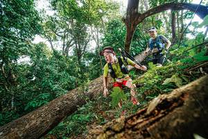 BIB: 
                            <button type="button" onclick="openModal(22777998)" class="btn btn-primary btn-sm float-right btn-popup" data-toggle="modal" data-target=".modal-high-quality">
                        <i class="fas fa-shopping-cart"></i> Add to Cart
                    </button>
                                            <button type="button" onclick="isThisMe(22777998, true)" class="btn btn-success btn-sm float-right btn-popup btn-isme hidden" data-toggle="tooltip" data-placement="bottom" title="นี่คือรูปของคุณใช่ไหม คลิกที่นี่เพื่อเอาเข้าอัลบั้ม">
                        <i class="fas fa-plus"></i> Add to album
                    </button>
                    <button type="button" onclick="isThisMe(22777998, false)" class="btn btn-warning btn-sm float-right btn-popup btn-isnotme hidden">
                        <i class="fas fa-ban"></i> Remove from album
                    </button>