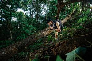 BIB: 
                            <button type="button" onclick="openModal(22777434)" class="btn btn-primary btn-sm float-right btn-popup" data-toggle="modal" data-target=".modal-high-quality">
                        <i class="fas fa-shopping-cart"></i> Add to Cart
                    </button>
                                            <button type="button" onclick="isThisMe(22777434, true)" class="btn btn-success btn-sm float-right btn-popup btn-isme hidden" data-toggle="tooltip" data-placement="bottom" title="นี่คือรูปของคุณใช่ไหม คลิกที่นี่เพื่อเอาเข้าอัลบั้ม">
                        <i class="fas fa-plus"></i> Add to album
                    </button>
                    <button type="button" onclick="isThisMe(22777434, false)" class="btn btn-warning btn-sm float-right btn-popup btn-isnotme hidden">
                        <i class="fas fa-ban"></i> Remove from album
                    </button>