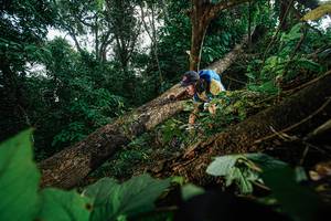 BIB: 
                            <button type="button" onclick="openModal(22776906)" class="btn btn-primary btn-sm float-right btn-popup" data-toggle="modal" data-target=".modal-high-quality">
                        <i class="fas fa-shopping-cart"></i> Add to Cart
                    </button>
                                            <button type="button" onclick="isThisMe(22776906, true)" class="btn btn-success btn-sm float-right btn-popup btn-isme hidden" data-toggle="tooltip" data-placement="bottom" title="นี่คือรูปของคุณใช่ไหม คลิกที่นี่เพื่อเอาเข้าอัลบั้ม">
                        <i class="fas fa-plus"></i> Add to album
                    </button>
                    <button type="button" onclick="isThisMe(22776906, false)" class="btn btn-warning btn-sm float-right btn-popup btn-isnotme hidden">
                        <i class="fas fa-ban"></i> Remove from album
                    </button>