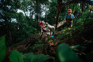 BIB: 
                            <button type="button" onclick="openModal(22777365)" class="btn btn-primary btn-sm float-right btn-popup" data-toggle="modal" data-target=".modal-high-quality">
                        <i class="fas fa-shopping-cart"></i> Add to Cart
                    </button>
                                            <button type="button" onclick="isThisMe(22777365, true)" class="btn btn-success btn-sm float-right btn-popup btn-isme hidden" data-toggle="tooltip" data-placement="bottom" title="นี่คือรูปของคุณใช่ไหม คลิกที่นี่เพื่อเอาเข้าอัลบั้ม">
                        <i class="fas fa-plus"></i> Add to album
                    </button>
                    <button type="button" onclick="isThisMe(22777365, false)" class="btn btn-warning btn-sm float-right btn-popup btn-isnotme hidden">
                        <i class="fas fa-ban"></i> Remove from album
                    </button>