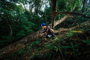 BIB: 
                            <button type="button" onclick="openModal(22777423)" class="btn btn-primary btn-sm float-right btn-popup" data-toggle="modal" data-target=".modal-high-quality">
                        <i class="fas fa-shopping-cart"></i> Add to Cart
                    </button>
                                            <button type="button" onclick="isThisMe(22777423, true)" class="btn btn-success btn-sm float-right btn-popup btn-isme hidden" data-toggle="tooltip" data-placement="bottom" title="นี่คือรูปของคุณใช่ไหม คลิกที่นี่เพื่อเอาเข้าอัลบั้ม">
                        <i class="fas fa-plus"></i> Add to album
                    </button>
                    <button type="button" onclick="isThisMe(22777423, false)" class="btn btn-warning btn-sm float-right btn-popup btn-isnotme hidden">
                        <i class="fas fa-ban"></i> Remove from album
                    </button>