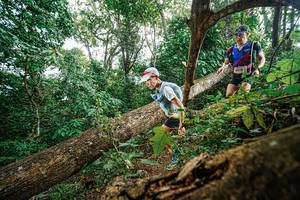 BIB: 6418
                            <button type="button" onclick="openModal(22778532)" class="btn btn-primary btn-sm float-right btn-popup" data-toggle="modal" data-target=".modal-high-quality">
                        <i class="fas fa-shopping-cart"></i> Add to Cart
                    </button>
                                            <button type="button" onclick="isThisMe(22778532, true)" class="btn btn-success btn-sm float-right btn-popup btn-isme hidden" data-toggle="tooltip" data-placement="bottom" title="นี่คือรูปของคุณใช่ไหม คลิกที่นี่เพื่อเอาเข้าอัลบั้ม">
                        <i class="fas fa-plus"></i> Add to album
                    </button>
                    <button type="button" onclick="isThisMe(22778532, false)" class="btn btn-warning btn-sm float-right btn-popup btn-isnotme hidden">
                        <i class="fas fa-ban"></i> Remove from album
                    </button>