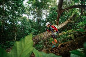 BIB: 
                            <button type="button" onclick="openModal(22777416)" class="btn btn-primary btn-sm float-right btn-popup" data-toggle="modal" data-target=".modal-high-quality">
                        <i class="fas fa-shopping-cart"></i> Add to Cart
                    </button>
                                            <button type="button" onclick="isThisMe(22777416, true)" class="btn btn-success btn-sm float-right btn-popup btn-isme hidden" data-toggle="tooltip" data-placement="bottom" title="นี่คือรูปของคุณใช่ไหม คลิกที่นี่เพื่อเอาเข้าอัลบั้ม">
                        <i class="fas fa-plus"></i> Add to album
                    </button>
                    <button type="button" onclick="isThisMe(22777416, false)" class="btn btn-warning btn-sm float-right btn-popup btn-isnotme hidden">
                        <i class="fas fa-ban"></i> Remove from album
                    </button>