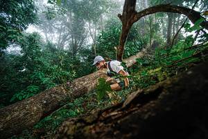 BIB: 
                            <button type="button" onclick="openModal(22778735)" class="btn btn-primary btn-sm float-right btn-popup" data-toggle="modal" data-target=".modal-high-quality">
                        <i class="fas fa-shopping-cart"></i> Add to Cart
                    </button>
                                            <button type="button" onclick="isThisMe(22778735, true)" class="btn btn-success btn-sm float-right btn-popup btn-isme hidden" data-toggle="tooltip" data-placement="bottom" title="นี่คือรูปของคุณใช่ไหม คลิกที่นี่เพื่อเอาเข้าอัลบั้ม">
                        <i class="fas fa-plus"></i> Add to album
                    </button>
                    <button type="button" onclick="isThisMe(22778735, false)" class="btn btn-warning btn-sm float-right btn-popup btn-isnotme hidden">
                        <i class="fas fa-ban"></i> Remove from album
                    </button>