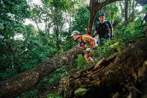 BIB: 
                            <button type="button" onclick="openModal(22778425)" class="btn btn-primary btn-sm float-right btn-popup" data-toggle="modal" data-target=".modal-high-quality">
                        <i class="fas fa-shopping-cart"></i> Add to Cart
                    </button>
                                            <button type="button" onclick="isThisMe(22778425, true)" class="btn btn-success btn-sm float-right btn-popup btn-isme hidden" data-toggle="tooltip" data-placement="bottom" title="นี่คือรูปของคุณใช่ไหม คลิกที่นี่เพื่อเอาเข้าอัลบั้ม">
                        <i class="fas fa-plus"></i> Add to album
                    </button>
                    <button type="button" onclick="isThisMe(22778425, false)" class="btn btn-warning btn-sm float-right btn-popup btn-isnotme hidden">
                        <i class="fas fa-ban"></i> Remove from album
                    </button>