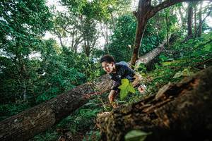 BIB: 
                            <button type="button" onclick="openModal(22778205)" class="btn btn-primary btn-sm float-right btn-popup" data-toggle="modal" data-target=".modal-high-quality">
                        <i class="fas fa-shopping-cart"></i> Add to Cart
                    </button>
                                            <button type="button" onclick="isThisMe(22778205, true)" class="btn btn-success btn-sm float-right btn-popup btn-isme hidden" data-toggle="tooltip" data-placement="bottom" title="นี่คือรูปของคุณใช่ไหม คลิกที่นี่เพื่อเอาเข้าอัลบั้ม">
                        <i class="fas fa-plus"></i> Add to album
                    </button>
                    <button type="button" onclick="isThisMe(22778205, false)" class="btn btn-warning btn-sm float-right btn-popup btn-isnotme hidden">
                        <i class="fas fa-ban"></i> Remove from album
                    </button>