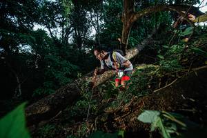 BIB: 
                            <button type="button" onclick="openModal(22775225)" class="btn btn-primary btn-sm float-right btn-popup" data-toggle="modal" data-target=".modal-high-quality">
                        <i class="fas fa-shopping-cart"></i> Add to Cart
                    </button>
                                            <button type="button" onclick="isThisMe(22775225, true)" class="btn btn-success btn-sm float-right btn-popup btn-isme hidden" data-toggle="tooltip" data-placement="bottom" title="นี่คือรูปของคุณใช่ไหม คลิกที่นี่เพื่อเอาเข้าอัลบั้ม">
                        <i class="fas fa-plus"></i> Add to album
                    </button>
                    <button type="button" onclick="isThisMe(22775225, false)" class="btn btn-warning btn-sm float-right btn-popup btn-isnotme hidden">
                        <i class="fas fa-ban"></i> Remove from album
                    </button>