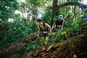 BIB: 3421
                            <button type="button" onclick="openModal(22778569)" class="btn btn-primary btn-sm float-right btn-popup" data-toggle="modal" data-target=".modal-high-quality">
                        <i class="fas fa-shopping-cart"></i> Add to Cart
                    </button>
                                            <button type="button" onclick="isThisMe(22778569, true)" class="btn btn-success btn-sm float-right btn-popup btn-isme hidden" data-toggle="tooltip" data-placement="bottom" title="นี่คือรูปของคุณใช่ไหม คลิกที่นี่เพื่อเอาเข้าอัลบั้ม">
                        <i class="fas fa-plus"></i> Add to album
                    </button>
                    <button type="button" onclick="isThisMe(22778569, false)" class="btn btn-warning btn-sm float-right btn-popup btn-isnotme hidden">
                        <i class="fas fa-ban"></i> Remove from album
                    </button>