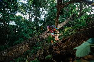 BIB: 
                            <button type="button" onclick="openModal(22777444)" class="btn btn-primary btn-sm float-right btn-popup" data-toggle="modal" data-target=".modal-high-quality">
                        <i class="fas fa-shopping-cart"></i> Add to Cart
                    </button>
                                            <button type="button" onclick="isThisMe(22777444, true)" class="btn btn-success btn-sm float-right btn-popup btn-isme hidden" data-toggle="tooltip" data-placement="bottom" title="นี่คือรูปของคุณใช่ไหม คลิกที่นี่เพื่อเอาเข้าอัลบั้ม">
                        <i class="fas fa-plus"></i> Add to album
                    </button>
                    <button type="button" onclick="isThisMe(22777444, false)" class="btn btn-warning btn-sm float-right btn-popup btn-isnotme hidden">
                        <i class="fas fa-ban"></i> Remove from album
                    </button>