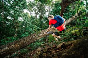 BIB: 
                            <button type="button" onclick="openModal(22778495)" class="btn btn-primary btn-sm float-right btn-popup" data-toggle="modal" data-target=".modal-high-quality">
                        <i class="fas fa-shopping-cart"></i> Add to Cart
                    </button>
                                            <button type="button" onclick="isThisMe(22778495, true)" class="btn btn-success btn-sm float-right btn-popup btn-isme hidden" data-toggle="tooltip" data-placement="bottom" title="นี่คือรูปของคุณใช่ไหม คลิกที่นี่เพื่อเอาเข้าอัลบั้ม">
                        <i class="fas fa-plus"></i> Add to album
                    </button>
                    <button type="button" onclick="isThisMe(22778495, false)" class="btn btn-warning btn-sm float-right btn-popup btn-isnotme hidden">
                        <i class="fas fa-ban"></i> Remove from album
                    </button>