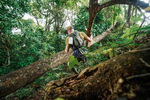 BIB: 
                            <button type="button" onclick="openModal(22778638)" class="btn btn-primary btn-sm float-right btn-popup" data-toggle="modal" data-target=".modal-high-quality">
                        <i class="fas fa-shopping-cart"></i> Add to Cart
                    </button>
                                            <button type="button" onclick="isThisMe(22778638, true)" class="btn btn-success btn-sm float-right btn-popup btn-isme hidden" data-toggle="tooltip" data-placement="bottom" title="นี่คือรูปของคุณใช่ไหม คลิกที่นี่เพื่อเอาเข้าอัลบั้ม">
                        <i class="fas fa-plus"></i> Add to album
                    </button>
                    <button type="button" onclick="isThisMe(22778638, false)" class="btn btn-warning btn-sm float-right btn-popup btn-isnotme hidden">
                        <i class="fas fa-ban"></i> Remove from album
                    </button>