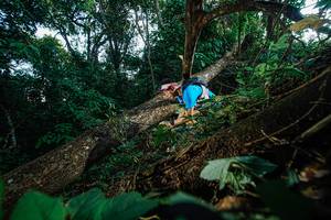 BIB: 
                            <button type="button" onclick="openModal(22777079)" class="btn btn-primary btn-sm float-right btn-popup" data-toggle="modal" data-target=".modal-high-quality">
                        <i class="fas fa-shopping-cart"></i> Add to Cart
                    </button>
                                            <button type="button" onclick="isThisMe(22777079, true)" class="btn btn-success btn-sm float-right btn-popup btn-isme hidden" data-toggle="tooltip" data-placement="bottom" title="นี่คือรูปของคุณใช่ไหม คลิกที่นี่เพื่อเอาเข้าอัลบั้ม">
                        <i class="fas fa-plus"></i> Add to album
                    </button>
                    <button type="button" onclick="isThisMe(22777079, false)" class="btn btn-warning btn-sm float-right btn-popup btn-isnotme hidden">
                        <i class="fas fa-ban"></i> Remove from album
                    </button>