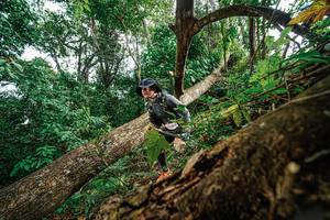 BIB: 
                            <button type="button" onclick="openModal(22778670)" class="btn btn-primary btn-sm float-right btn-popup" data-toggle="modal" data-target=".modal-high-quality">
                        <i class="fas fa-shopping-cart"></i> Add to Cart
                    </button>
                                            <button type="button" onclick="isThisMe(22778670, true)" class="btn btn-success btn-sm float-right btn-popup btn-isme hidden" data-toggle="tooltip" data-placement="bottom" title="นี่คือรูปของคุณใช่ไหม คลิกที่นี่เพื่อเอาเข้าอัลบั้ม">
                        <i class="fas fa-plus"></i> Add to album
                    </button>
                    <button type="button" onclick="isThisMe(22778670, false)" class="btn btn-warning btn-sm float-right btn-popup btn-isnotme hidden">
                        <i class="fas fa-ban"></i> Remove from album
                    </button>