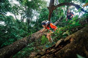 BIB: 
                            <button type="button" onclick="openModal(22778083)" class="btn btn-primary btn-sm float-right btn-popup" data-toggle="modal" data-target=".modal-high-quality">
                        <i class="fas fa-shopping-cart"></i> Add to Cart
                    </button>
                                            <button type="button" onclick="isThisMe(22778083, true)" class="btn btn-success btn-sm float-right btn-popup btn-isme hidden" data-toggle="tooltip" data-placement="bottom" title="นี่คือรูปของคุณใช่ไหม คลิกที่นี่เพื่อเอาเข้าอัลบั้ม">
                        <i class="fas fa-plus"></i> Add to album
                    </button>
                    <button type="button" onclick="isThisMe(22778083, false)" class="btn btn-warning btn-sm float-right btn-popup btn-isnotme hidden">
                        <i class="fas fa-ban"></i> Remove from album
                    </button>