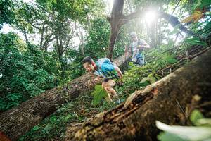 BIB: 
                            <button type="button" onclick="openModal(22777974)" class="btn btn-primary btn-sm float-right btn-popup" data-toggle="modal" data-target=".modal-high-quality">
                        <i class="fas fa-shopping-cart"></i> Add to Cart
                    </button>
                                            <button type="button" onclick="isThisMe(22777974, true)" class="btn btn-success btn-sm float-right btn-popup btn-isme hidden" data-toggle="tooltip" data-placement="bottom" title="นี่คือรูปของคุณใช่ไหม คลิกที่นี่เพื่อเอาเข้าอัลบั้ม">
                        <i class="fas fa-plus"></i> Add to album
                    </button>
                    <button type="button" onclick="isThisMe(22777974, false)" class="btn btn-warning btn-sm float-right btn-popup btn-isnotme hidden">
                        <i class="fas fa-ban"></i> Remove from album
                    </button>