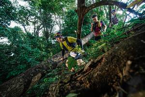 BIB: 480
                            <button type="button" onclick="openModal(22778389)" class="btn btn-primary btn-sm float-right btn-popup" data-toggle="modal" data-target=".modal-high-quality">
                        <i class="fas fa-shopping-cart"></i> Add to Cart
                    </button>
                                            <button type="button" onclick="isThisMe(22778389, true)" class="btn btn-success btn-sm float-right btn-popup btn-isme hidden" data-toggle="tooltip" data-placement="bottom" title="นี่คือรูปของคุณใช่ไหม คลิกที่นี่เพื่อเอาเข้าอัลบั้ม">
                        <i class="fas fa-plus"></i> Add to album
                    </button>
                    <button type="button" onclick="isThisMe(22778389, false)" class="btn btn-warning btn-sm float-right btn-popup btn-isnotme hidden">
                        <i class="fas fa-ban"></i> Remove from album
                    </button>