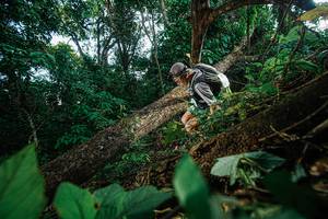 BIB: 
                            <button type="button" onclick="openModal(22777225)" class="btn btn-primary btn-sm float-right btn-popup" data-toggle="modal" data-target=".modal-high-quality">
                        <i class="fas fa-shopping-cart"></i> Add to Cart
                    </button>
                                            <button type="button" onclick="isThisMe(22777225, true)" class="btn btn-success btn-sm float-right btn-popup btn-isme hidden" data-toggle="tooltip" data-placement="bottom" title="นี่คือรูปของคุณใช่ไหม คลิกที่นี่เพื่อเอาเข้าอัลบั้ม">
                        <i class="fas fa-plus"></i> Add to album
                    </button>
                    <button type="button" onclick="isThisMe(22777225, false)" class="btn btn-warning btn-sm float-right btn-popup btn-isnotme hidden">
                        <i class="fas fa-ban"></i> Remove from album
                    </button>