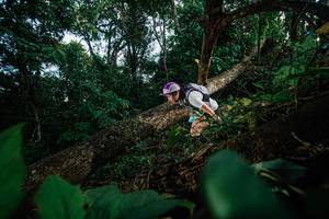 BIB: 
                            <button type="button" onclick="openModal(22777356)" class="btn btn-primary btn-sm float-right btn-popup" data-toggle="modal" data-target=".modal-high-quality">
                        <i class="fas fa-shopping-cart"></i> Add to Cart
                    </button>
                                            <button type="button" onclick="isThisMe(22777356, true)" class="btn btn-success btn-sm float-right btn-popup btn-isme hidden" data-toggle="tooltip" data-placement="bottom" title="นี่คือรูปของคุณใช่ไหม คลิกที่นี่เพื่อเอาเข้าอัลบั้ม">
                        <i class="fas fa-plus"></i> Add to album
                    </button>
                    <button type="button" onclick="isThisMe(22777356, false)" class="btn btn-warning btn-sm float-right btn-popup btn-isnotme hidden">
                        <i class="fas fa-ban"></i> Remove from album
                    </button>