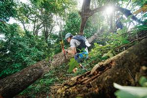 BIB: 
                            <button type="button" onclick="openModal(22777978)" class="btn btn-primary btn-sm float-right btn-popup" data-toggle="modal" data-target=".modal-high-quality">
                        <i class="fas fa-shopping-cart"></i> Add to Cart
                    </button>
                                            <button type="button" onclick="isThisMe(22777978, true)" class="btn btn-success btn-sm float-right btn-popup btn-isme hidden" data-toggle="tooltip" data-placement="bottom" title="นี่คือรูปของคุณใช่ไหม คลิกที่นี่เพื่อเอาเข้าอัลบั้ม">
                        <i class="fas fa-plus"></i> Add to album
                    </button>
                    <button type="button" onclick="isThisMe(22777978, false)" class="btn btn-warning btn-sm float-right btn-popup btn-isnotme hidden">
                        <i class="fas fa-ban"></i> Remove from album
                    </button>