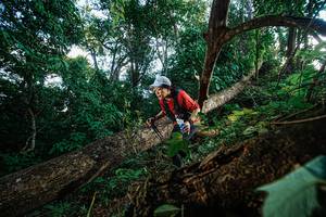 BIB: 
                            <button type="button" onclick="openModal(22777448)" class="btn btn-primary btn-sm float-right btn-popup" data-toggle="modal" data-target=".modal-high-quality">
                        <i class="fas fa-shopping-cart"></i> Add to Cart
                    </button>
                                            <button type="button" onclick="isThisMe(22777448, true)" class="btn btn-success btn-sm float-right btn-popup btn-isme hidden" data-toggle="tooltip" data-placement="bottom" title="นี่คือรูปของคุณใช่ไหม คลิกที่นี่เพื่อเอาเข้าอัลบั้ม">
                        <i class="fas fa-plus"></i> Add to album
                    </button>
                    <button type="button" onclick="isThisMe(22777448, false)" class="btn btn-warning btn-sm float-right btn-popup btn-isnotme hidden">
                        <i class="fas fa-ban"></i> Remove from album
                    </button>