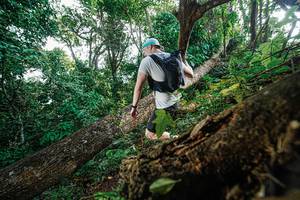 BIB: 
                            <button type="button" onclick="openModal(22778428)" class="btn btn-primary btn-sm float-right btn-popup" data-toggle="modal" data-target=".modal-high-quality">
                        <i class="fas fa-shopping-cart"></i> Add to Cart
                    </button>
                                            <button type="button" onclick="isThisMe(22778428, true)" class="btn btn-success btn-sm float-right btn-popup btn-isme hidden" data-toggle="tooltip" data-placement="bottom" title="นี่คือรูปของคุณใช่ไหม คลิกที่นี่เพื่อเอาเข้าอัลบั้ม">
                        <i class="fas fa-plus"></i> Add to album
                    </button>
                    <button type="button" onclick="isThisMe(22778428, false)" class="btn btn-warning btn-sm float-right btn-popup btn-isnotme hidden">
                        <i class="fas fa-ban"></i> Remove from album
                    </button>