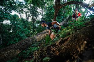 BIB: 
                            <button type="button" onclick="openModal(22778372)" class="btn btn-primary btn-sm float-right btn-popup" data-toggle="modal" data-target=".modal-high-quality">
                        <i class="fas fa-shopping-cart"></i> Add to Cart
                    </button>
                                            <button type="button" onclick="isThisMe(22778372, true)" class="btn btn-success btn-sm float-right btn-popup btn-isme hidden" data-toggle="tooltip" data-placement="bottom" title="นี่คือรูปของคุณใช่ไหม คลิกที่นี่เพื่อเอาเข้าอัลบั้ม">
                        <i class="fas fa-plus"></i> Add to album
                    </button>
                    <button type="button" onclick="isThisMe(22778372, false)" class="btn btn-warning btn-sm float-right btn-popup btn-isnotme hidden">
                        <i class="fas fa-ban"></i> Remove from album
                    </button>