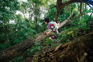 BIB: 
                            <button type="button" onclick="openModal(22778456)" class="btn btn-primary btn-sm float-right btn-popup" data-toggle="modal" data-target=".modal-high-quality">
                        <i class="fas fa-shopping-cart"></i> Add to Cart
                    </button>
                                            <button type="button" onclick="isThisMe(22778456, true)" class="btn btn-success btn-sm float-right btn-popup btn-isme hidden" data-toggle="tooltip" data-placement="bottom" title="นี่คือรูปของคุณใช่ไหม คลิกที่นี่เพื่อเอาเข้าอัลบั้ม">
                        <i class="fas fa-plus"></i> Add to album
                    </button>
                    <button type="button" onclick="isThisMe(22778456, false)" class="btn btn-warning btn-sm float-right btn-popup btn-isnotme hidden">
                        <i class="fas fa-ban"></i> Remove from album
                    </button>