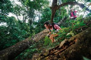 BIB: 
                            <button type="button" onclick="openModal(22778127)" class="btn btn-primary btn-sm float-right btn-popup" data-toggle="modal" data-target=".modal-high-quality">
                        <i class="fas fa-shopping-cart"></i> Add to Cart
                    </button>
                                            <button type="button" onclick="isThisMe(22778127, true)" class="btn btn-success btn-sm float-right btn-popup btn-isme hidden" data-toggle="tooltip" data-placement="bottom" title="นี่คือรูปของคุณใช่ไหม คลิกที่นี่เพื่อเอาเข้าอัลบั้ม">
                        <i class="fas fa-plus"></i> Add to album
                    </button>
                    <button type="button" onclick="isThisMe(22778127, false)" class="btn btn-warning btn-sm float-right btn-popup btn-isnotme hidden">
                        <i class="fas fa-ban"></i> Remove from album
                    </button>