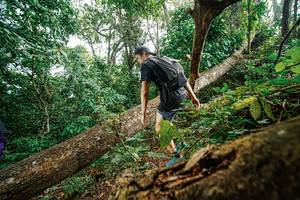 BIB: 
                            <button type="button" onclick="openModal(22778537)" class="btn btn-primary btn-sm float-right btn-popup" data-toggle="modal" data-target=".modal-high-quality">
                        <i class="fas fa-shopping-cart"></i> Add to Cart
                    </button>
                                            <button type="button" onclick="isThisMe(22778537, true)" class="btn btn-success btn-sm float-right btn-popup btn-isme hidden" data-toggle="tooltip" data-placement="bottom" title="นี่คือรูปของคุณใช่ไหม คลิกที่นี่เพื่อเอาเข้าอัลบั้ม">
                        <i class="fas fa-plus"></i> Add to album
                    </button>
                    <button type="button" onclick="isThisMe(22778537, false)" class="btn btn-warning btn-sm float-right btn-popup btn-isnotme hidden">
                        <i class="fas fa-ban"></i> Remove from album
                    </button>