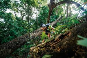 BIB: 
                            <button type="button" onclick="openModal(22778180)" class="btn btn-primary btn-sm float-right btn-popup" data-toggle="modal" data-target=".modal-high-quality">
                        <i class="fas fa-shopping-cart"></i> Add to Cart
                    </button>
                                            <button type="button" onclick="isThisMe(22778180, true)" class="btn btn-success btn-sm float-right btn-popup btn-isme hidden" data-toggle="tooltip" data-placement="bottom" title="นี่คือรูปของคุณใช่ไหม คลิกที่นี่เพื่อเอาเข้าอัลบั้ม">
                        <i class="fas fa-plus"></i> Add to album
                    </button>
                    <button type="button" onclick="isThisMe(22778180, false)" class="btn btn-warning btn-sm float-right btn-popup btn-isnotme hidden">
                        <i class="fas fa-ban"></i> Remove from album
                    </button>