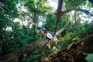 BIB: 
                            <button type="button" onclick="openModal(22777826)" class="btn btn-primary btn-sm float-right btn-popup" data-toggle="modal" data-target=".modal-high-quality">
                        <i class="fas fa-shopping-cart"></i> Add to Cart
                    </button>
                                            <button type="button" onclick="isThisMe(22777826, true)" class="btn btn-success btn-sm float-right btn-popup btn-isme hidden" data-toggle="tooltip" data-placement="bottom" title="นี่คือรูปของคุณใช่ไหม คลิกที่นี่เพื่อเอาเข้าอัลบั้ม">
                        <i class="fas fa-plus"></i> Add to album
                    </button>
                    <button type="button" onclick="isThisMe(22777826, false)" class="btn btn-warning btn-sm float-right btn-popup btn-isnotme hidden">
                        <i class="fas fa-ban"></i> Remove from album
                    </button>