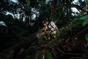 BIB: 
                            <button type="button" onclick="openModal(22774858)" class="btn btn-primary btn-sm float-right btn-popup" data-toggle="modal" data-target=".modal-high-quality">
                        <i class="fas fa-shopping-cart"></i> Add to Cart
                    </button>
                                            <button type="button" onclick="isThisMe(22774858, true)" class="btn btn-success btn-sm float-right btn-popup btn-isme hidden" data-toggle="tooltip" data-placement="bottom" title="นี่คือรูปของคุณใช่ไหม คลิกที่นี่เพื่อเอาเข้าอัลบั้ม">
                        <i class="fas fa-plus"></i> Add to album
                    </button>
                    <button type="button" onclick="isThisMe(22774858, false)" class="btn btn-warning btn-sm float-right btn-popup btn-isnotme hidden">
                        <i class="fas fa-ban"></i> Remove from album
                    </button>