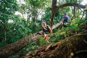 BIB: 
                            <button type="button" onclick="openModal(22778601)" class="btn btn-primary btn-sm float-right btn-popup" data-toggle="modal" data-target=".modal-high-quality">
                        <i class="fas fa-shopping-cart"></i> Add to Cart
                    </button>
                                            <button type="button" onclick="isThisMe(22778601, true)" class="btn btn-success btn-sm float-right btn-popup btn-isme hidden" data-toggle="tooltip" data-placement="bottom" title="นี่คือรูปของคุณใช่ไหม คลิกที่นี่เพื่อเอาเข้าอัลบั้ม">
                        <i class="fas fa-plus"></i> Add to album
                    </button>
                    <button type="button" onclick="isThisMe(22778601, false)" class="btn btn-warning btn-sm float-right btn-popup btn-isnotme hidden">
                        <i class="fas fa-ban"></i> Remove from album
                    </button>