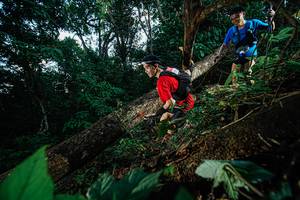 BIB: 
                            <button type="button" onclick="openModal(22775566)" class="btn btn-primary btn-sm float-right btn-popup" data-toggle="modal" data-target=".modal-high-quality">
                        <i class="fas fa-shopping-cart"></i> Add to Cart
                    </button>
                                            <button type="button" onclick="isThisMe(22775566, true)" class="btn btn-success btn-sm float-right btn-popup btn-isme hidden" data-toggle="tooltip" data-placement="bottom" title="นี่คือรูปของคุณใช่ไหม คลิกที่นี่เพื่อเอาเข้าอัลบั้ม">
                        <i class="fas fa-plus"></i> Add to album
                    </button>
                    <button type="button" onclick="isThisMe(22775566, false)" class="btn btn-warning btn-sm float-right btn-popup btn-isnotme hidden">
                        <i class="fas fa-ban"></i> Remove from album
                    </button>