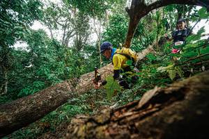 BIB: 
                            <button type="button" onclick="openModal(22779299)" class="btn btn-primary btn-sm float-right btn-popup" data-toggle="modal" data-target=".modal-high-quality">
                        <i class="fas fa-shopping-cart"></i> Add to Cart
                    </button>
                                            <button type="button" onclick="isThisMe(22779299, true)" class="btn btn-success btn-sm float-right btn-popup btn-isme hidden" data-toggle="tooltip" data-placement="bottom" title="นี่คือรูปของคุณใช่ไหม คลิกที่นี่เพื่อเอาเข้าอัลบั้ม">
                        <i class="fas fa-plus"></i> Add to album
                    </button>
                    <button type="button" onclick="isThisMe(22779299, false)" class="btn btn-warning btn-sm float-right btn-popup btn-isnotme hidden">
                        <i class="fas fa-ban"></i> Remove from album
                    </button>