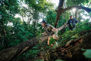 BIB: 
                            <button type="button" onclick="openModal(22777829)" class="btn btn-primary btn-sm float-right btn-popup" data-toggle="modal" data-target=".modal-high-quality">
                        <i class="fas fa-shopping-cart"></i> Add to Cart
                    </button>
                                            <button type="button" onclick="isThisMe(22777829, true)" class="btn btn-success btn-sm float-right btn-popup btn-isme hidden" data-toggle="tooltip" data-placement="bottom" title="นี่คือรูปของคุณใช่ไหม คลิกที่นี่เพื่อเอาเข้าอัลบั้ม">
                        <i class="fas fa-plus"></i> Add to album
                    </button>
                    <button type="button" onclick="isThisMe(22777829, false)" class="btn btn-warning btn-sm float-right btn-popup btn-isnotme hidden">
                        <i class="fas fa-ban"></i> Remove from album
                    </button>