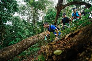 BIB: 
                            <button type="button" onclick="openModal(22779025)" class="btn btn-primary btn-sm float-right btn-popup" data-toggle="modal" data-target=".modal-high-quality">
                        <i class="fas fa-shopping-cart"></i> Add to Cart
                    </button>
                                            <button type="button" onclick="isThisMe(22779025, true)" class="btn btn-success btn-sm float-right btn-popup btn-isme hidden" data-toggle="tooltip" data-placement="bottom" title="นี่คือรูปของคุณใช่ไหม คลิกที่นี่เพื่อเอาเข้าอัลบั้ม">
                        <i class="fas fa-plus"></i> Add to album
                    </button>
                    <button type="button" onclick="isThisMe(22779025, false)" class="btn btn-warning btn-sm float-right btn-popup btn-isnotme hidden">
                        <i class="fas fa-ban"></i> Remove from album
                    </button>