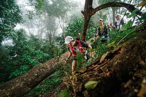 BIB: 
                            <button type="button" onclick="openModal(22778995)" class="btn btn-primary btn-sm float-right btn-popup" data-toggle="modal" data-target=".modal-high-quality">
                        <i class="fas fa-shopping-cart"></i> Add to Cart
                    </button>
                                            <button type="button" onclick="isThisMe(22778995, true)" class="btn btn-success btn-sm float-right btn-popup btn-isme hidden" data-toggle="tooltip" data-placement="bottom" title="นี่คือรูปของคุณใช่ไหม คลิกที่นี่เพื่อเอาเข้าอัลบั้ม">
                        <i class="fas fa-plus"></i> Add to album
                    </button>
                    <button type="button" onclick="isThisMe(22778995, false)" class="btn btn-warning btn-sm float-right btn-popup btn-isnotme hidden">
                        <i class="fas fa-ban"></i> Remove from album
                    </button>